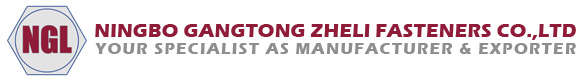 Ningbo Gangtong Zheli Fasteners: 25 anni di forza negli elementi di fissaggio ad alta resistenza per progetti globali